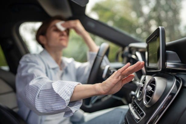 Best Air Conditioning Repair  in Pocahontas, IA